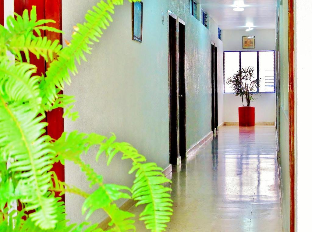Hotel Acuario Catemaco Εξωτερικό φωτογραφία